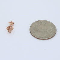 Aretes Estrellita Rose Gold 14kt
