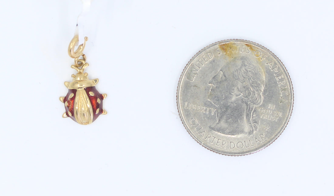 Charm Lady Bug