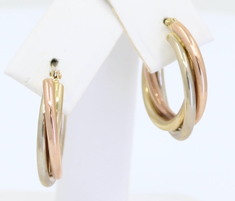 Aretes Delia