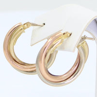 Aretes Delia